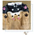 Doge Shiba Inu Husky Women's Hoodie: With ears and face on hood and a tail on the rear from NSE Imports #14.
