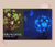 Sakura Blossom / Cherry Blossom Japanese Theme Building Block Sets many designs, some with lighting from NSE Imports #37.