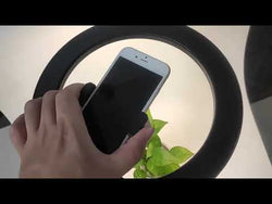 10 Inch / 26cm Android iPhone Ring Selfie Lamp: with Phone Bracket, Fill Light for YouTube Twitch TikTok from NSE Imports #30.