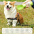 Pet Water Bottle Drinking Travel - BPA Free Cup for Dogs and Cats from NSE Imports #2.