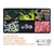 Mustool G600 Digital Portable 1-600X 3.6MP Microscope Magnifier 4.3inch HD LCD from NSE Imports #5.