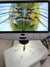 Andonstar AD205 5-Inch 1080P FHD Digital Microscope SD-Card slot, great starter scope for kids, education from NSE Imports #16.