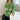 Thumbnail for Fluffy Sheep Cardigan: Sheep print with a tufted texture from NSE Imports #24.