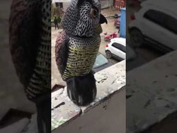 Artificial Owl with Springy Rotating Head and Audible Deterrent Protect your plants, crops from Pests, Birds, Rodents Bird Scarer from NSE Imports #16.