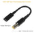 100W USB Type C PD to DC Power Jack: For Dell, HP, Lenovo, Asus, Sony, USB C to Universal Laptop Adapter from NSE Imports #23.