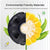 [US] Flashforge PLA 3D Printer Filament: 1kg 1.75mm various colours from NSE Imports #3.