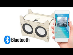 Lucky Cat DIY Wireless Bluetooth Speaker Educational Electronic Science Experiment Production Kit STEM from NSE Imports #10.