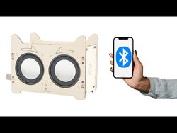 Lucky Cat DIY Wireless Bluetooth Speaker Educational Electronic Science Experiment Production Kit STEM from NSE Imports #9.