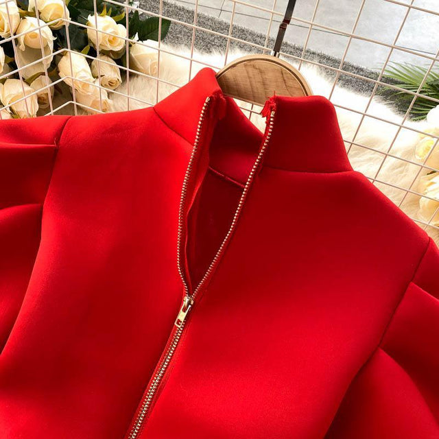 Puff Sleeve Turtleneck Dress Autumn Winter Long Sleeve Dresses Women Party Christmas Slim A-Line Elegant New Year Woman from NSE Imports #15.