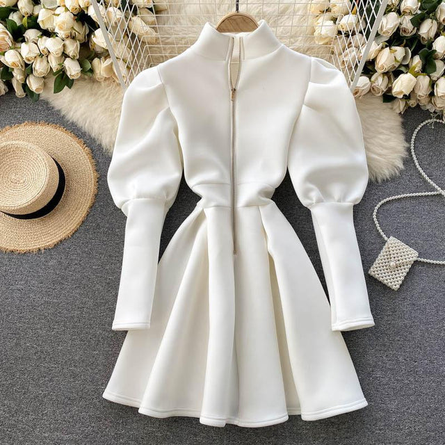 Puff Sleeve Turtleneck Dress Autumn Winter Long Sleeve Dresses Women Party Christmas Slim A-Line Elegant New Year Woman from NSE Imports #13.