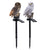 Solar Powered Owl LED Lawn Light: Waterproof, Cute, and Practical Garden Ornament from NSE Imports #1.