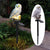 Solar Powered Owl LED Lawn Light: Waterproof, Cute, and Practical Garden Ornament from NSE Imports #10.