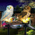 Solar Powered Owl LED Lawn Light: Waterproof, Cute, and Practical Garden Ornament from NSE Imports #2.