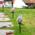 Solar Powered Owl LED Lawn Light: Waterproof, Cute, and Practical Garden Ornament from NSE Imports #6.